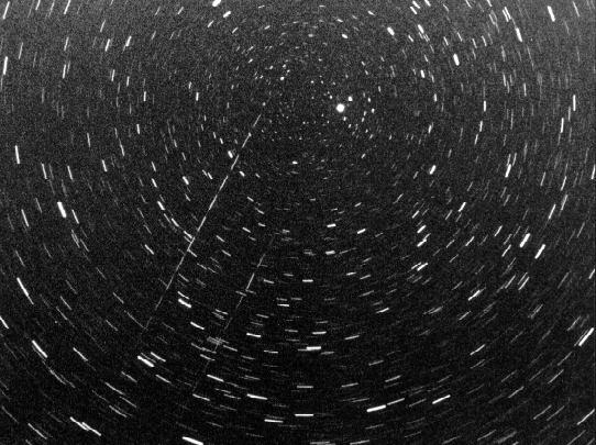 radiant97.1.Leoniden96.Delphinus.foto2