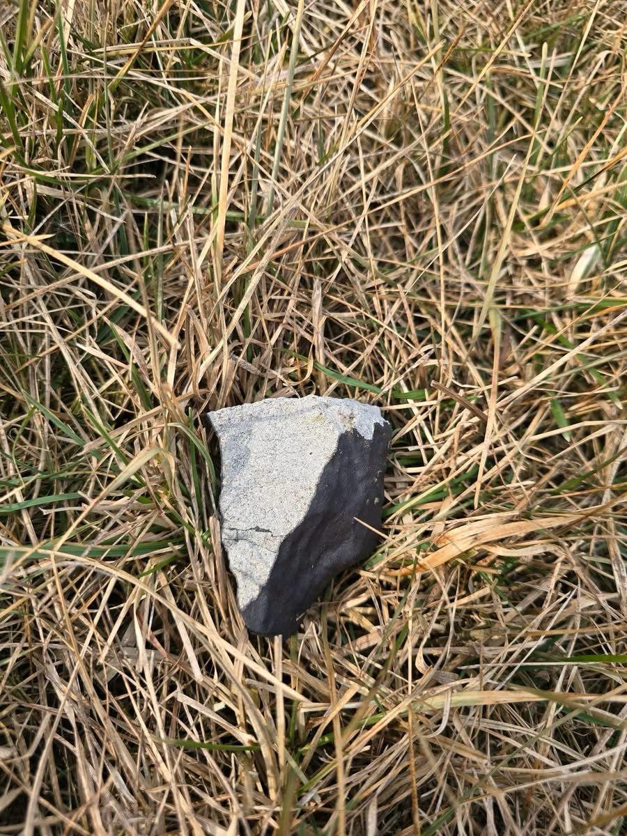 Afbeelding van WhatsApp op 2025-02-26 om 22.07.28_707454f3