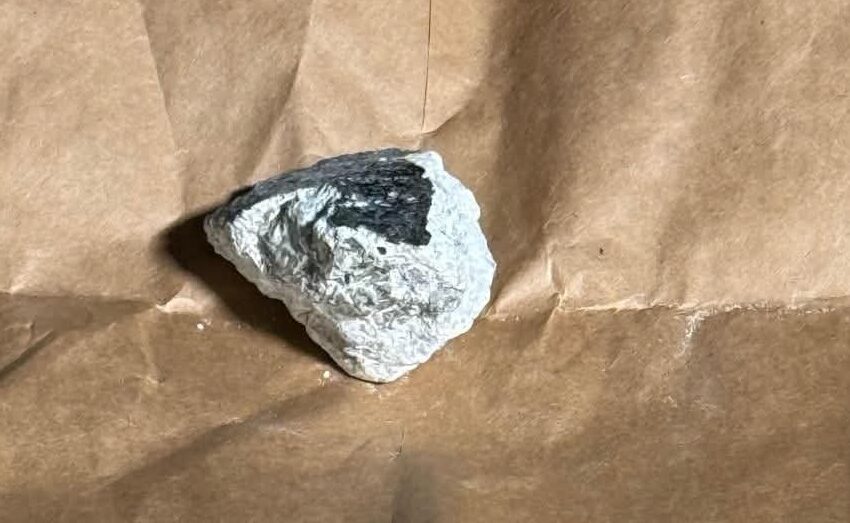 WhatsApp Image 2026-03-09 at 07.19.02